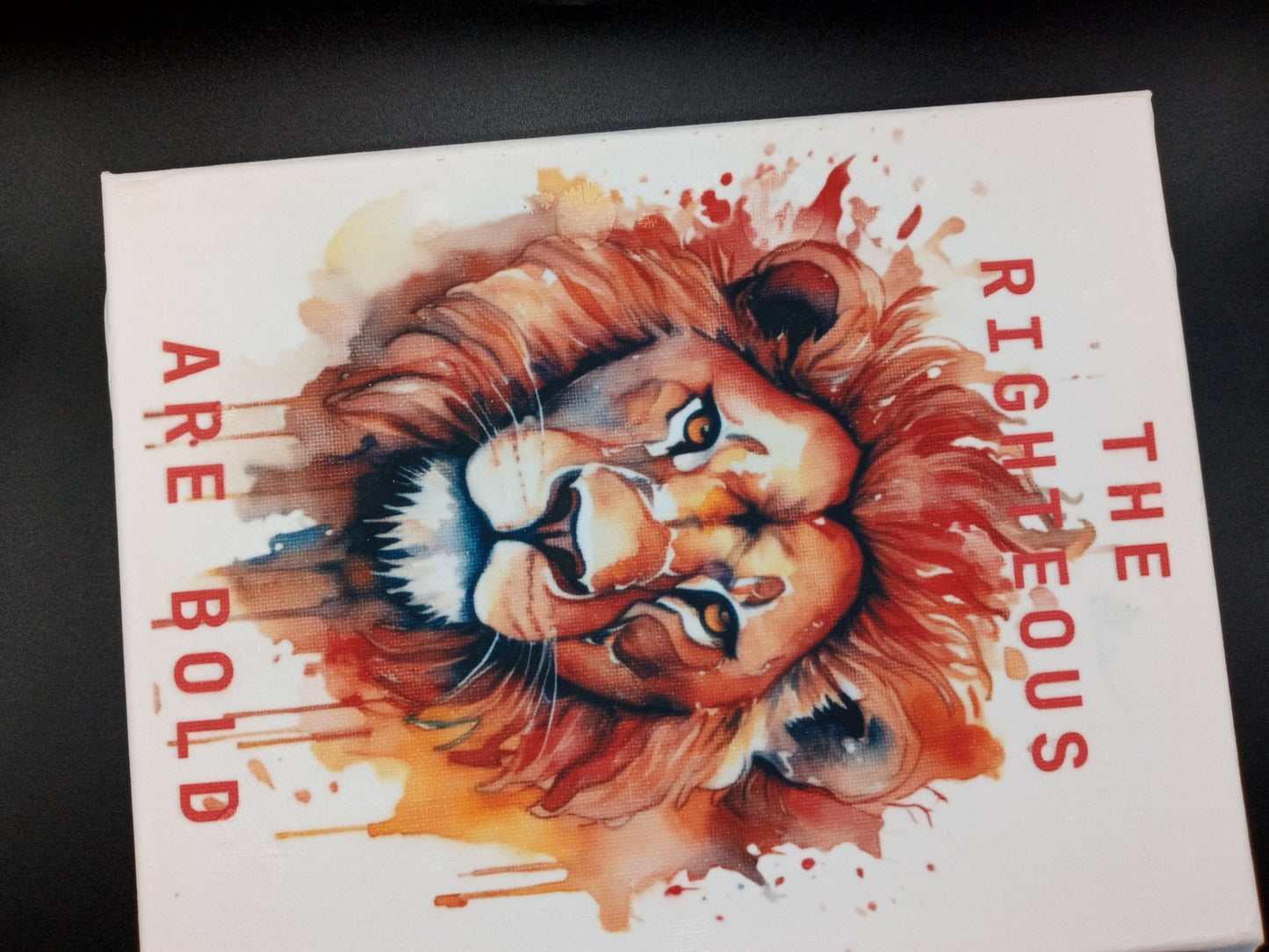 Bold Lion canvas print 8x10 - DS Artwork N Design